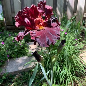 Meet your Posher, Katy